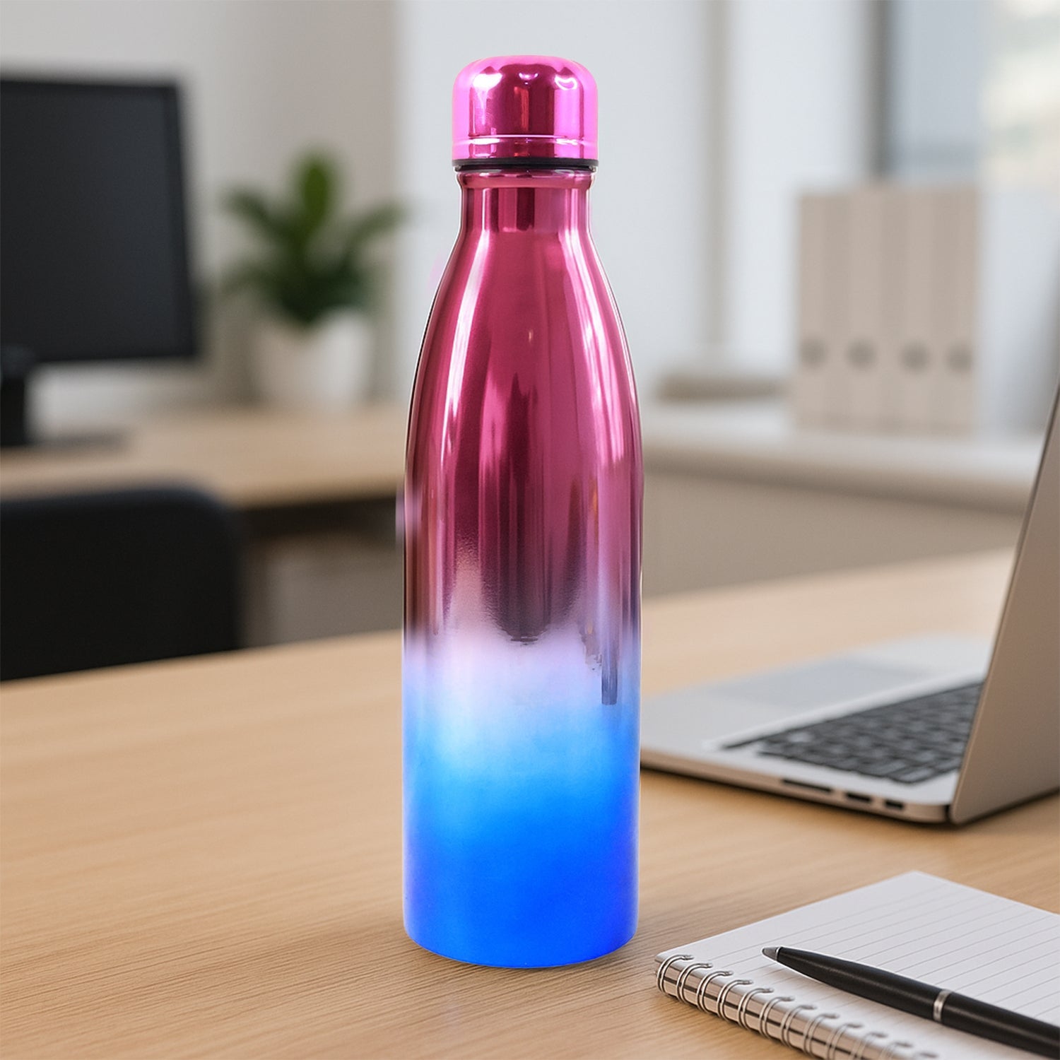 Premium Stainless Steel Drinking Bottle Premium Stainless Steel Drinking Bottle